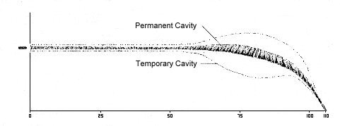 .30-40 Krag Ball wound profile (12k jpg)