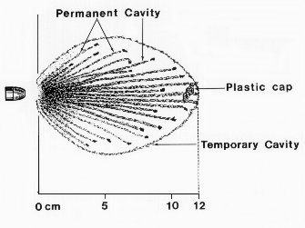 Glasser safety Slug (18k jpg)